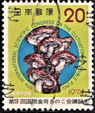 Shiitake (Lentinula edodes) : Edible Medicinal Mushroom