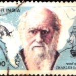 India on Karl Marx