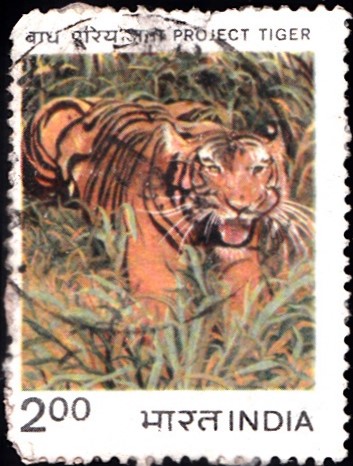 Indian Tiger Conservation Programme