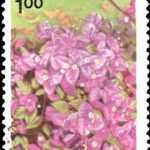 Festival of India 1985 (First issue)