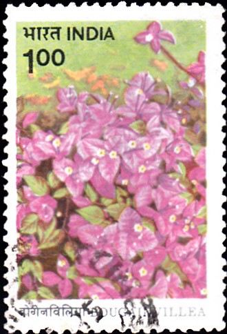 1008-h-b-singh-bougainvillea-india-stamp-1985