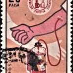 V. O. Chidambaram Pillai