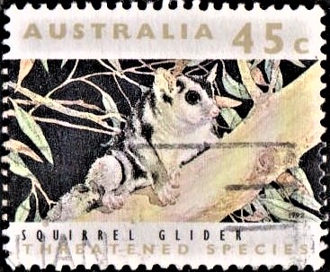 Sugar Glider Postage Stamp Necklace Australian Jewelry Sugar Glider Australia Postage Stamp Vintage Postage Stamp