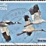 Indian Mountaineering Foundation