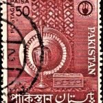 Indian Rhinoceros