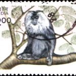 India on World Tourism Organisation 1983