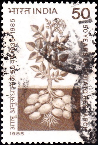 India Stamp 1985 pic