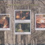 Krem Blang, Krem Khung, Krem Syndai and Krem Lymput