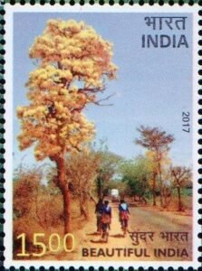 Beautiful India