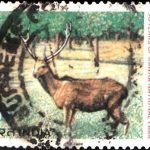 Japan National Land Afforestation Campaign 1983