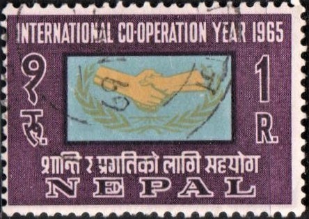 International Cooperation Year : ICY Emblem