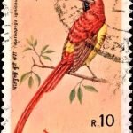 Israel on International Year of the Child 1979