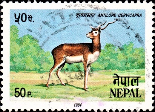 Nepal Wildlife Series 1984