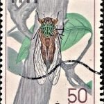 Pakistan National Tree Plantation Campaign 1977