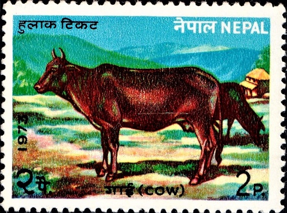 Nepal Cow Series 1973 - iStampGallery