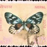Nepal Flower Series 1976