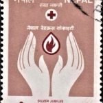 Hindi Day 1988