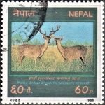 Nepal Bank Limited