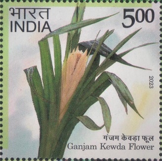 Kewda Oil : Odisha