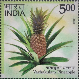 Geographical Indication No. 130 : Kerala fruit