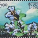 Pannalal Barupal