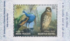 Indian Peacock & Mauritius Kestrel