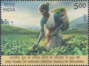 Indian Tamils of Sri Lanka