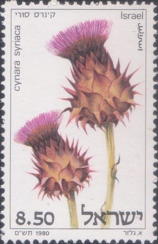  Thistles