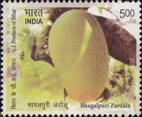 Jardalu Mango GI Tag