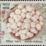 G.I. Products of Bihar
