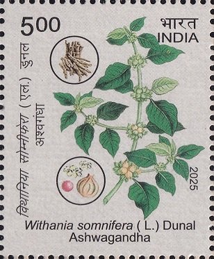 Withania somnifera