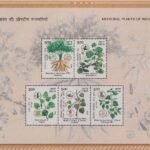 Indian Medicinal Plants