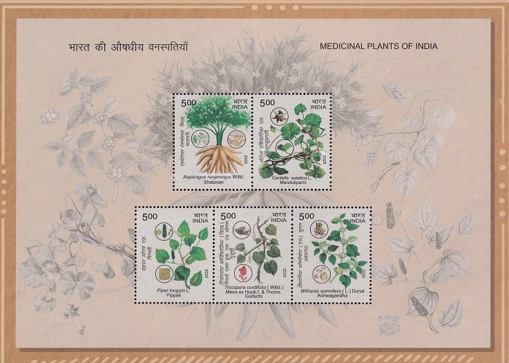 Medicinal Plants of India 2025