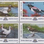 Migratory Birds in India Migratory Birds in India