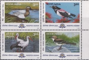 Migration of Birds in India