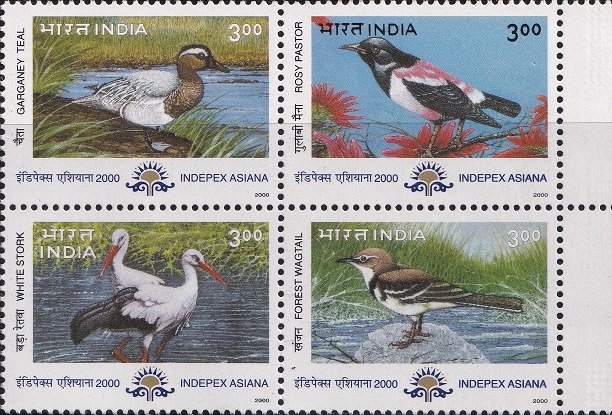 Migratory Birds in India