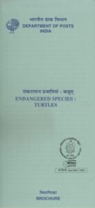Indian Sea Turtles