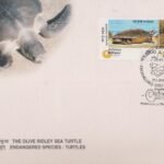 Olive Ridley