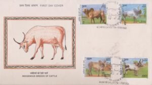 Indian Cattle Breeds