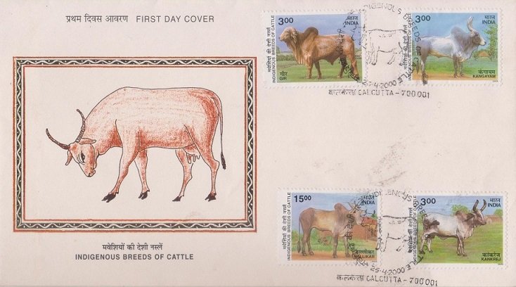 Indian Cattle Breeds
